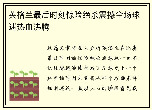 英格兰最后时刻惊险绝杀震撼全场球迷热血沸腾