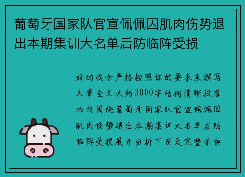 葡萄牙国家队官宣佩佩因肌肉伤势退出本期集训大名单后防临阵受损